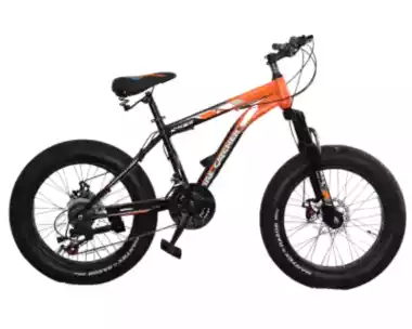 Mountain Bicycle Manufacturers in Delhi